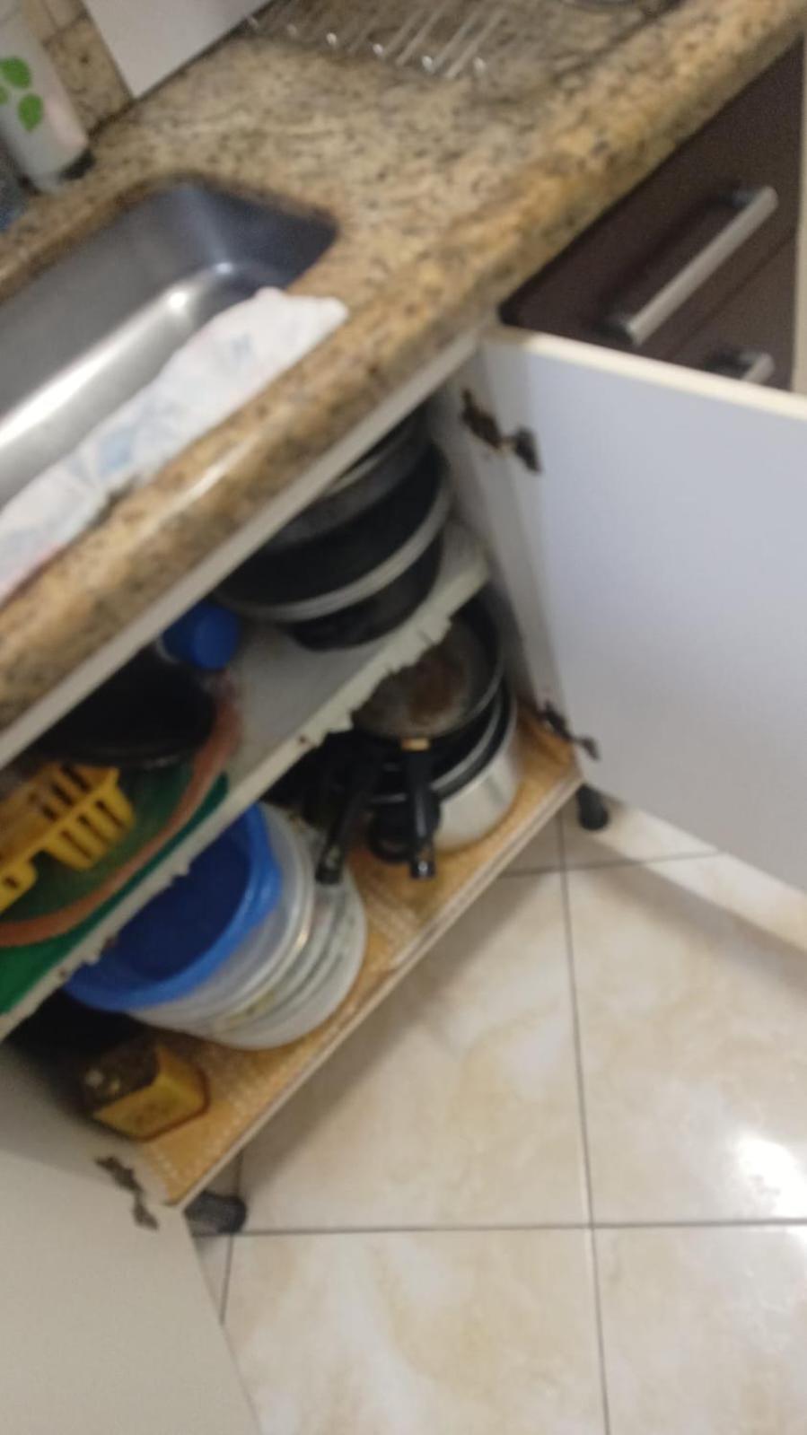 Apto A 50M Da Praia, Com Ar Condicionado, Wifi , Portaria 24H Praia Grande  Eksteriør billede